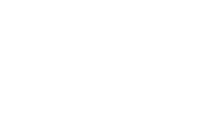 流行りそうなSNS ①Instagram48.6% ②TikTok37.2% ③X34.5% ④BeReal14.3%